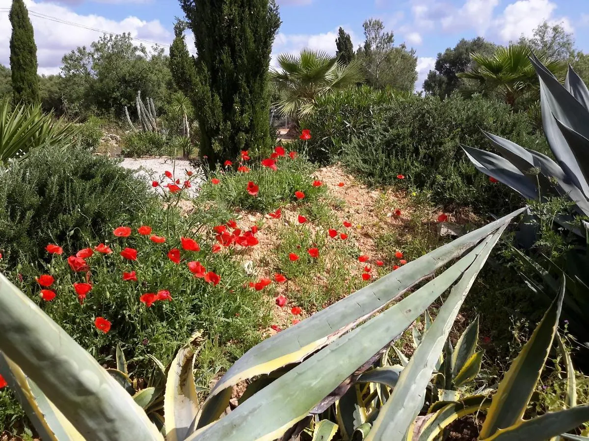 Prázdninový dům Finca Alqueria Fosca Campos