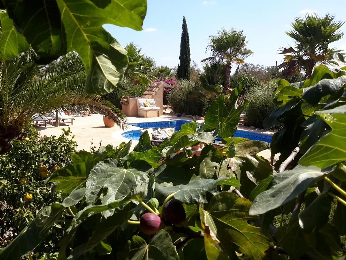 Сasa de vacaciones Finca Alqueria Fosca Campos