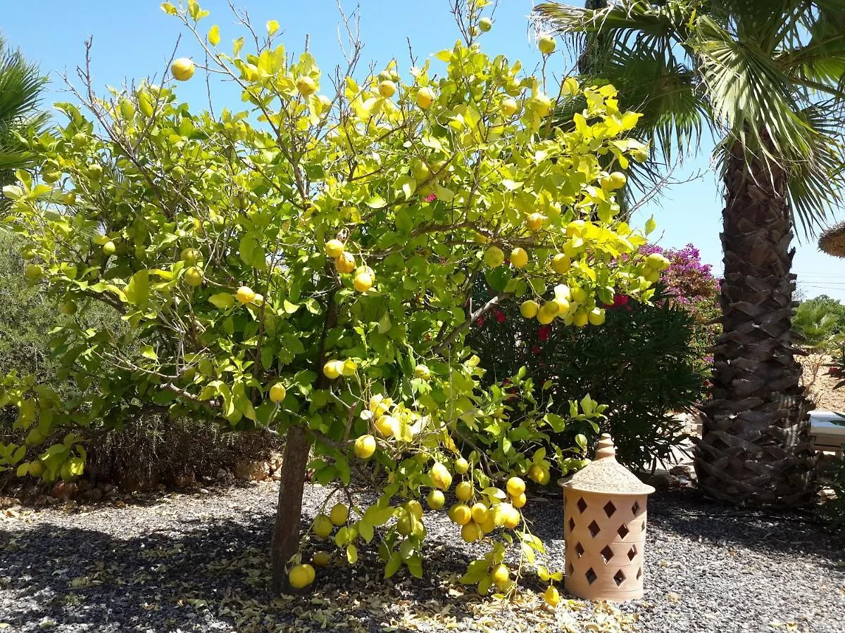 Finca Alqueria Fosca Campos  Σπίτι διακοπών