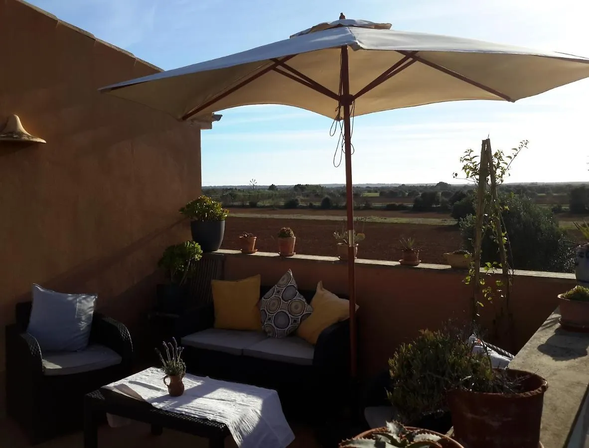 Finca Alqueria Fosca Campos
