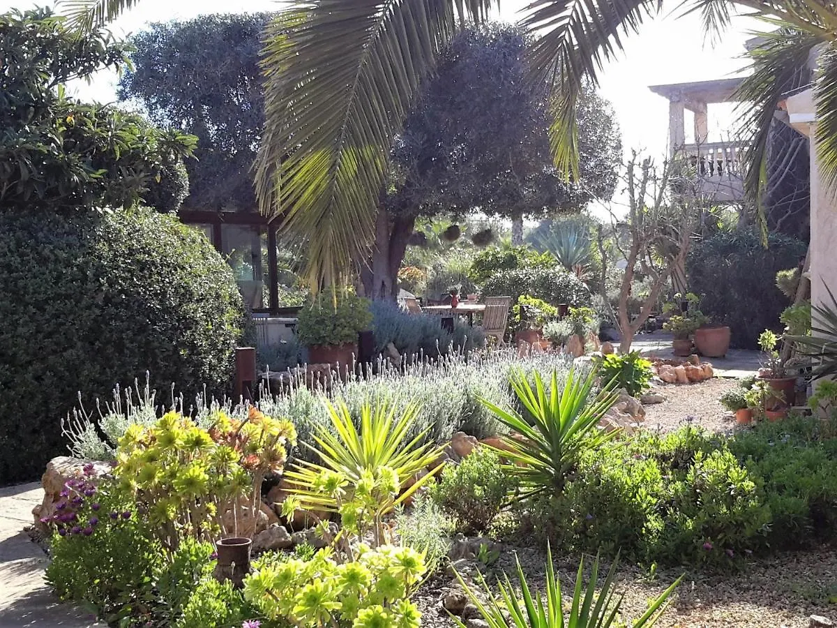 Finca Alqueria Fosca Campos