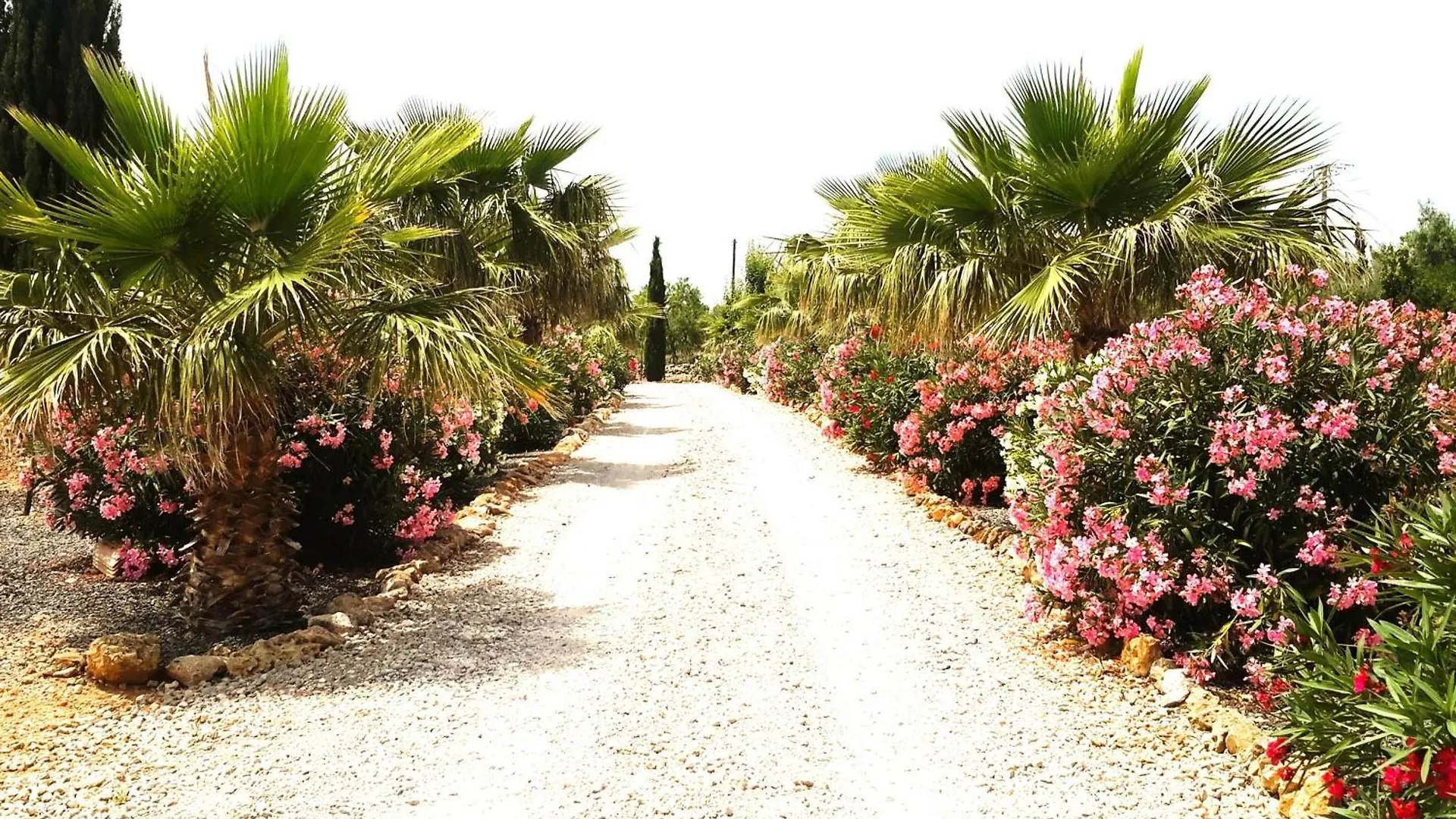Finca Alqueria Fosca Campos  Сasa de vacaciones Campos (Mallorca)