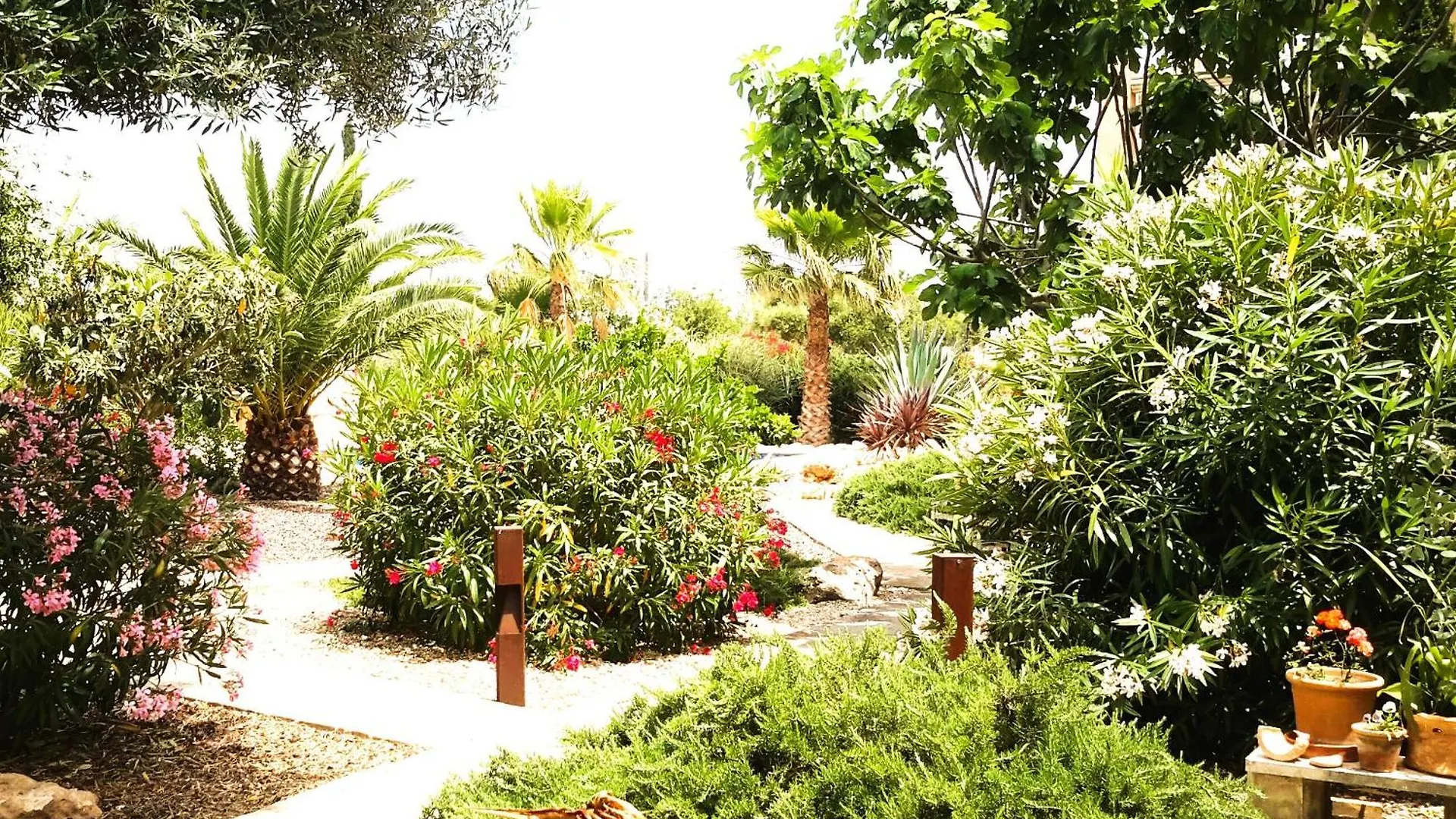 Сasa de vacaciones Finca Alqueria Fosca Campos