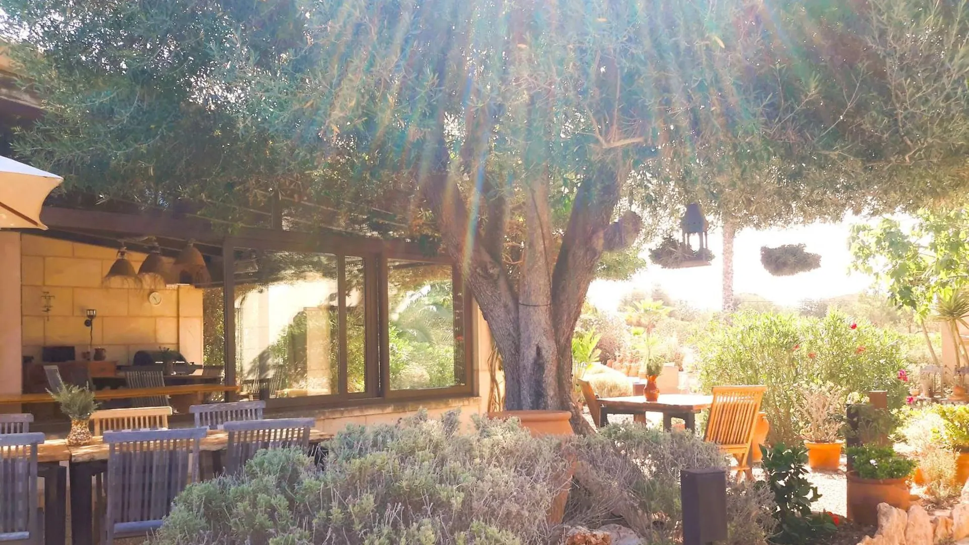 Finca Alqueria Fosca Campos  España