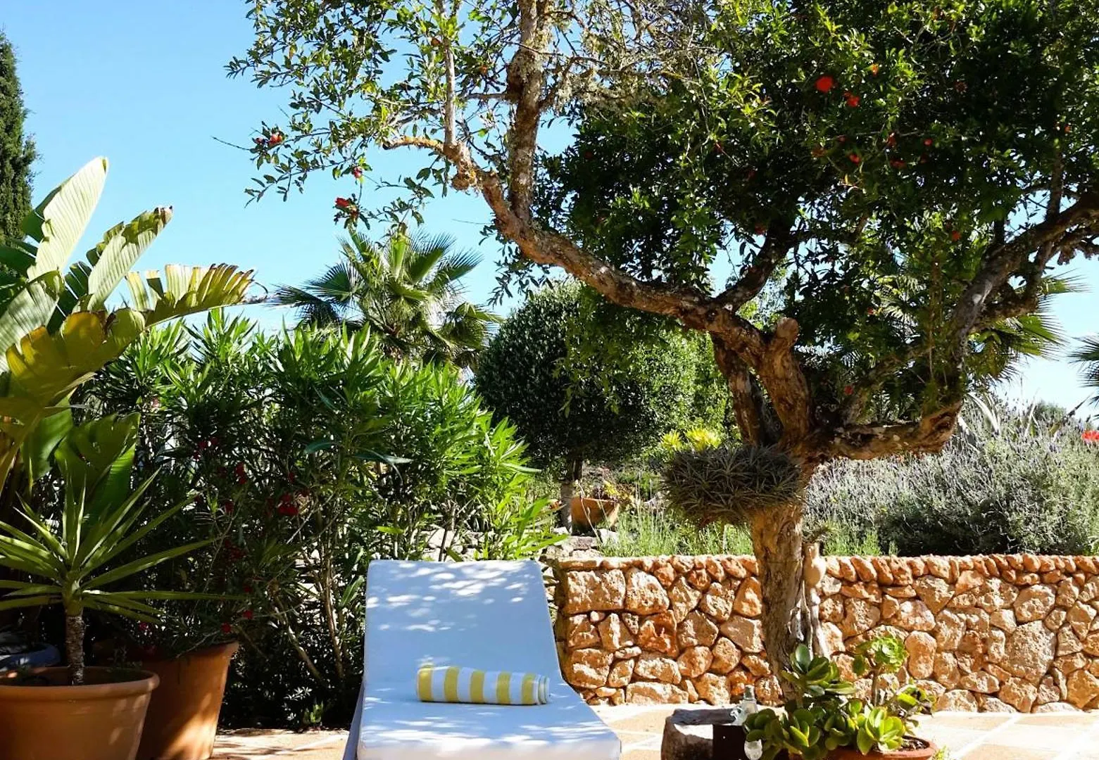Finca Alqueria Fosca Campos  Campos (Mallorca)