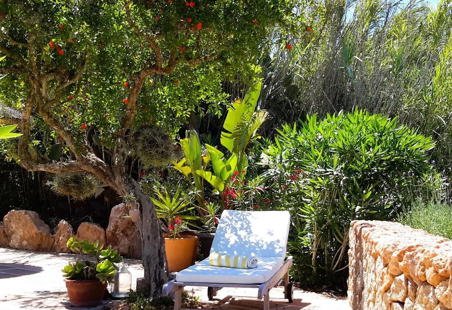 Σπίτι διακοπών Finca Alqueria Fosca Campos  Ισπανία