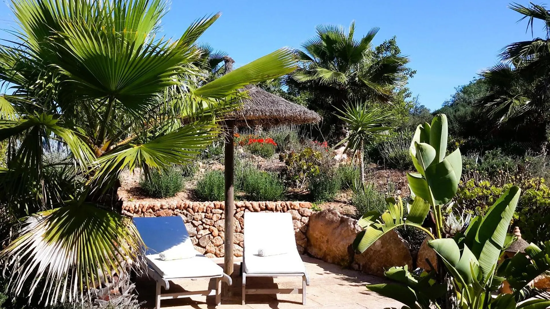 Finca Alqueria Fosca Campos  Ισπανία