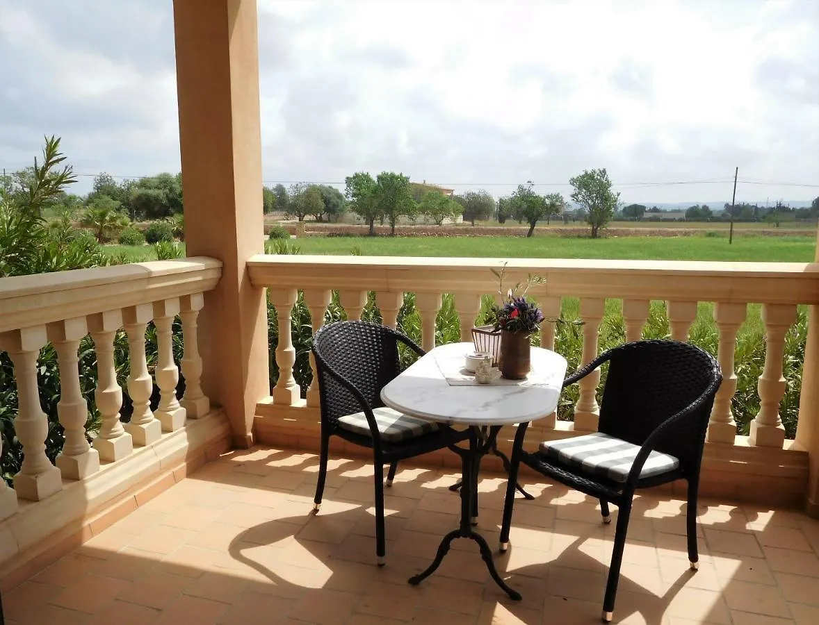 Finca Alqueria Fosca Campos